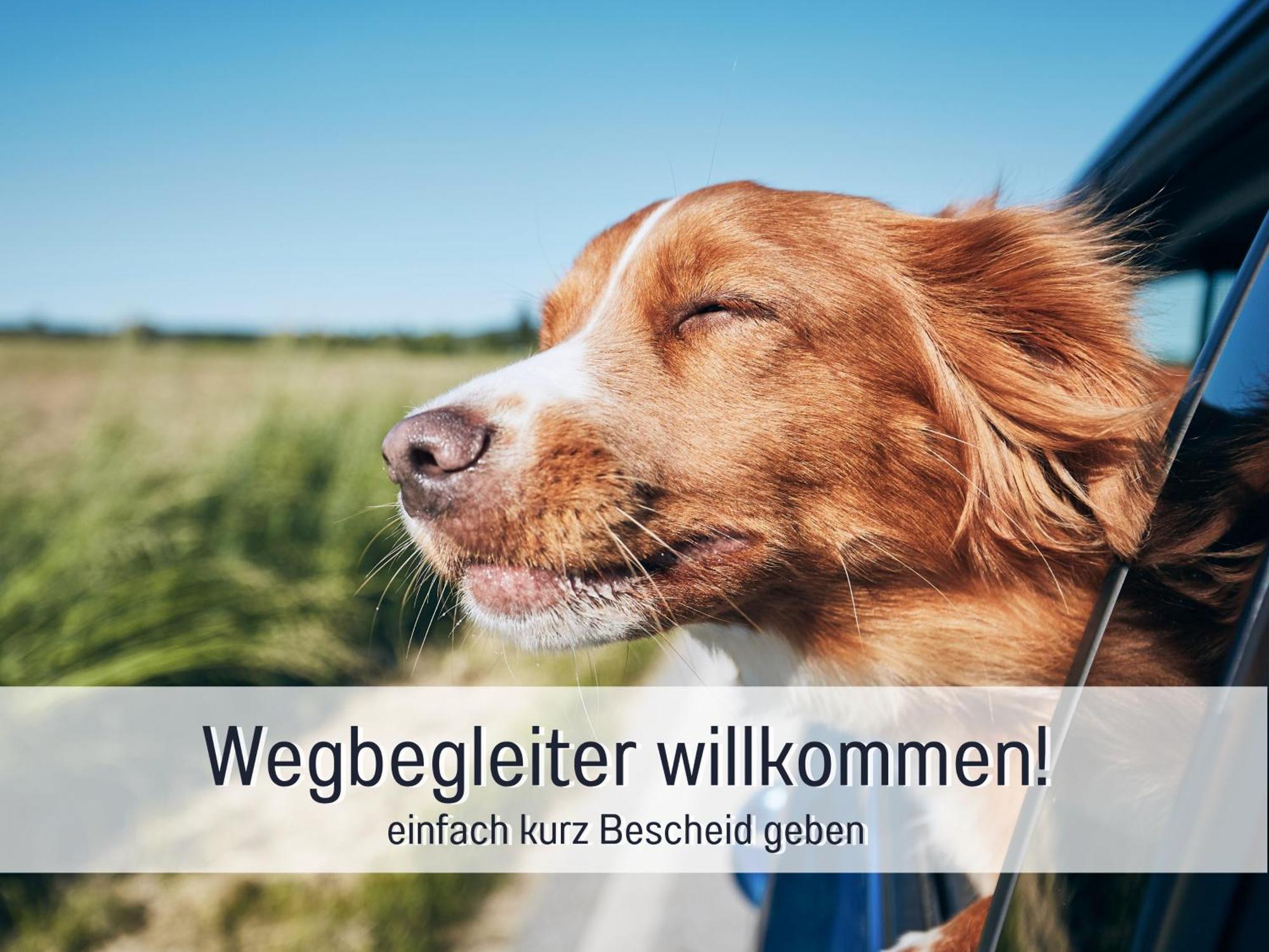 Stadtapartment By Live It - Voll Ausgestattete Kueche, Smarttv, Waschtrockner, 1-5 Pers 勃兰登堡 外观 照片